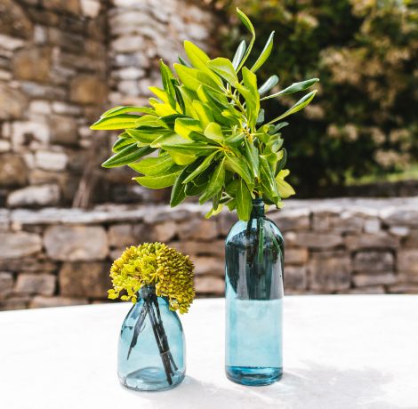 PHOTO-2018-05-17-11-13-45